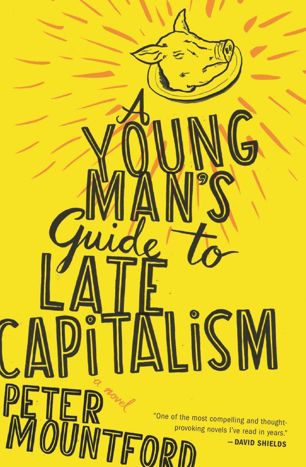 Big bigCover of A Young Man's Guide to Late Capitalism