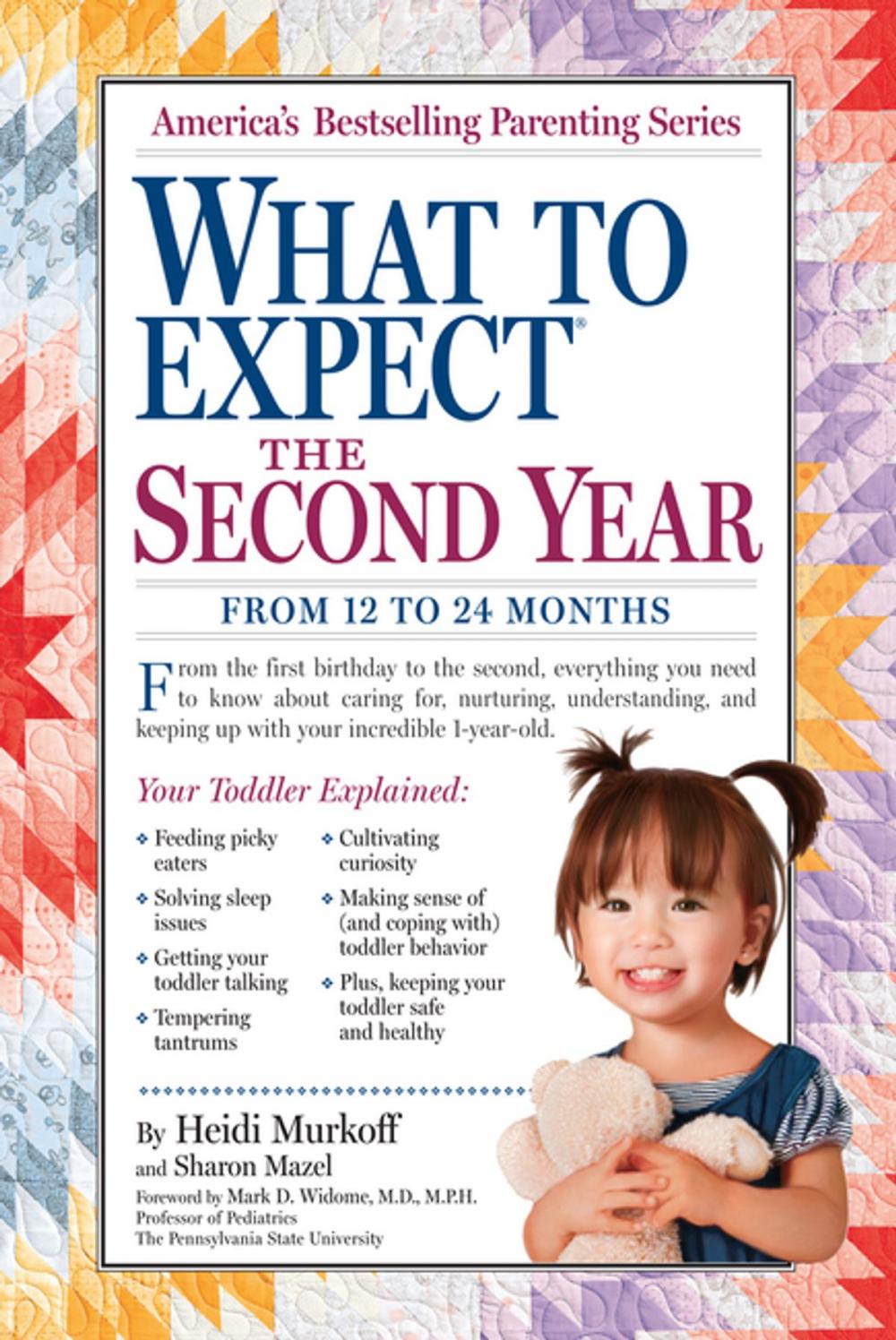 Big bigCover of What to Expect the Second Year