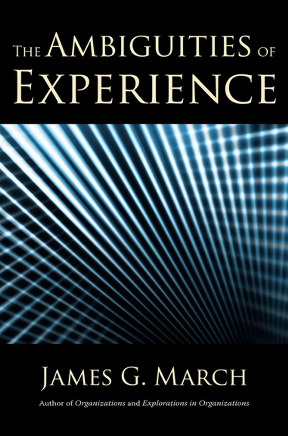 Big bigCover of The Ambiguities of Experience