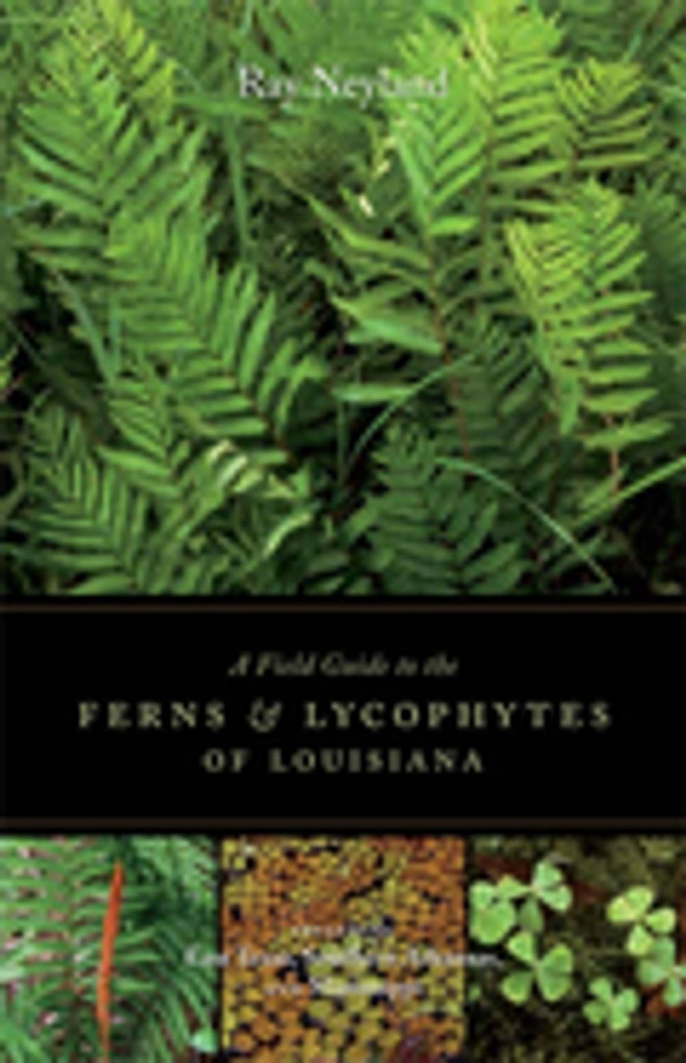 Big bigCover of A Field Guide to the Ferns and Lycophytes of Louisiana