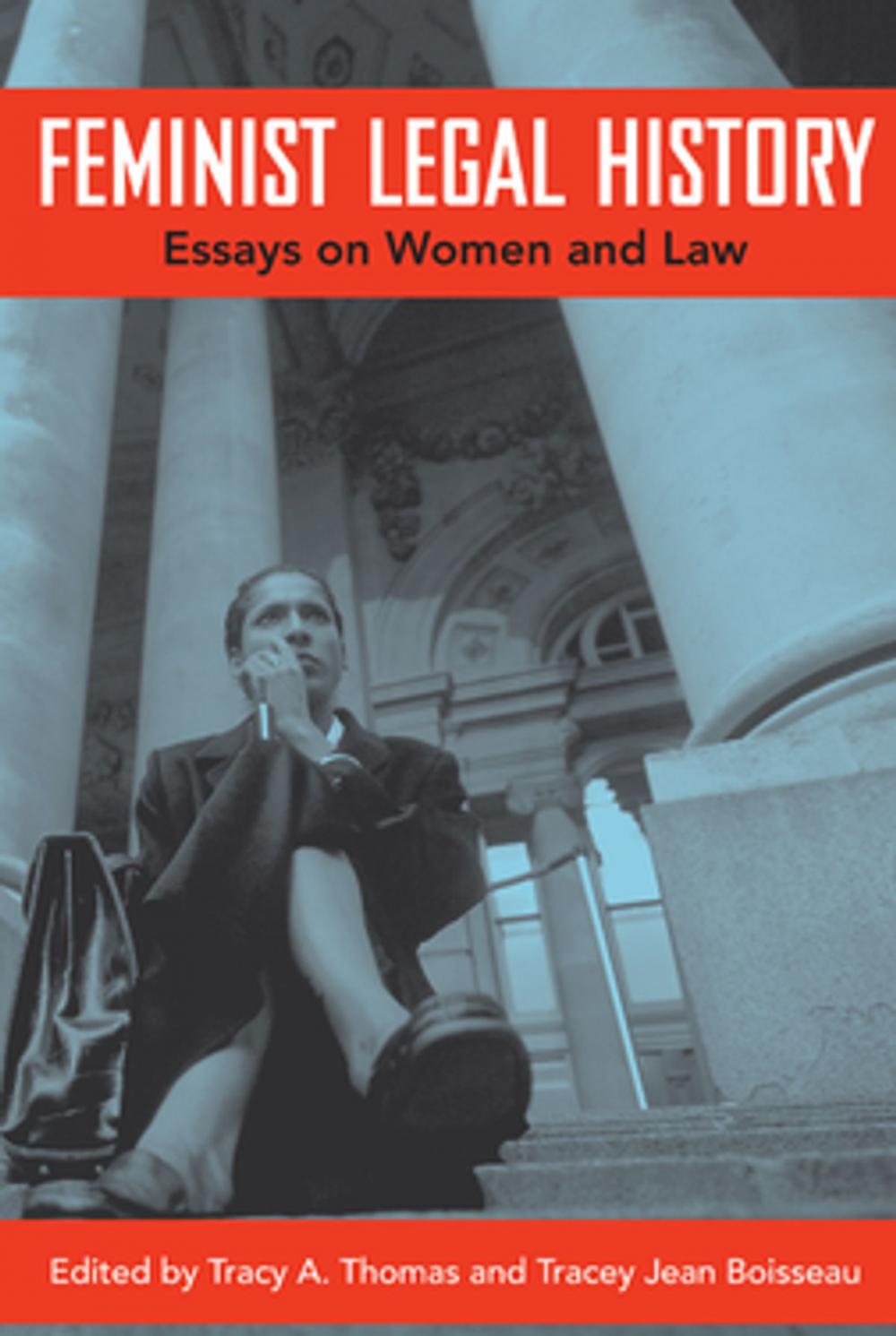 Big bigCover of Feminist Legal History