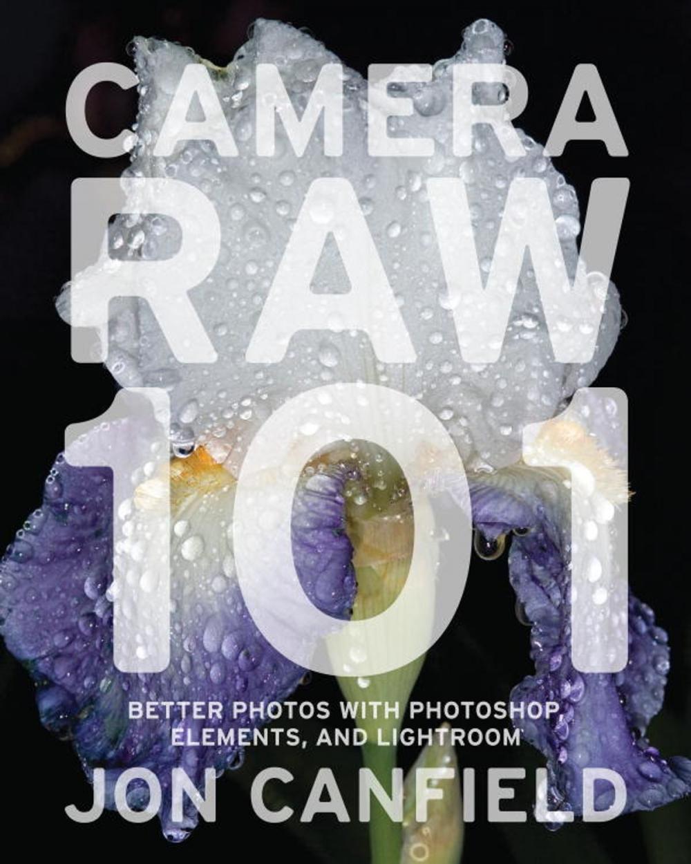 Big bigCover of Camera RAW 101