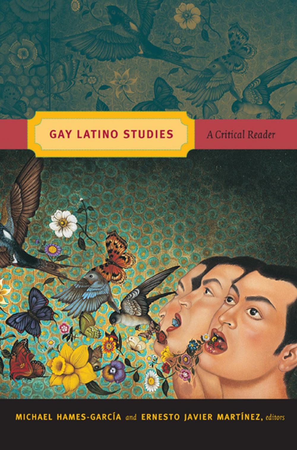 Big bigCover of Gay Latino Studies