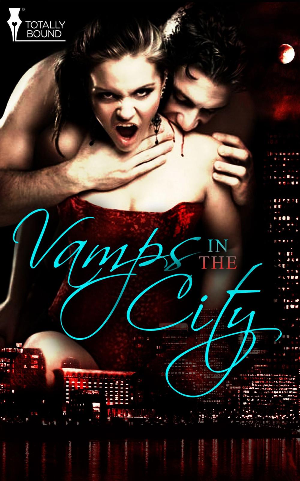 Big bigCover of Vamps in the City