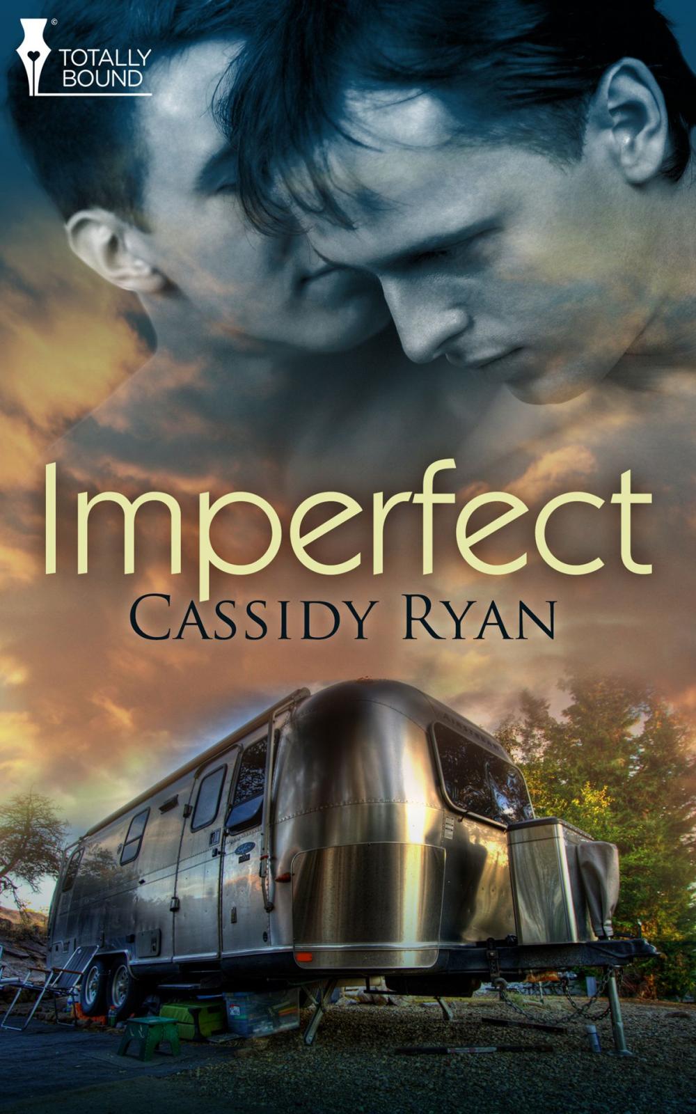 Big bigCover of Imperfect