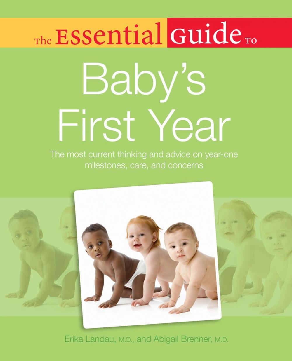 Big bigCover of The Essential Guide to Baby's First Year