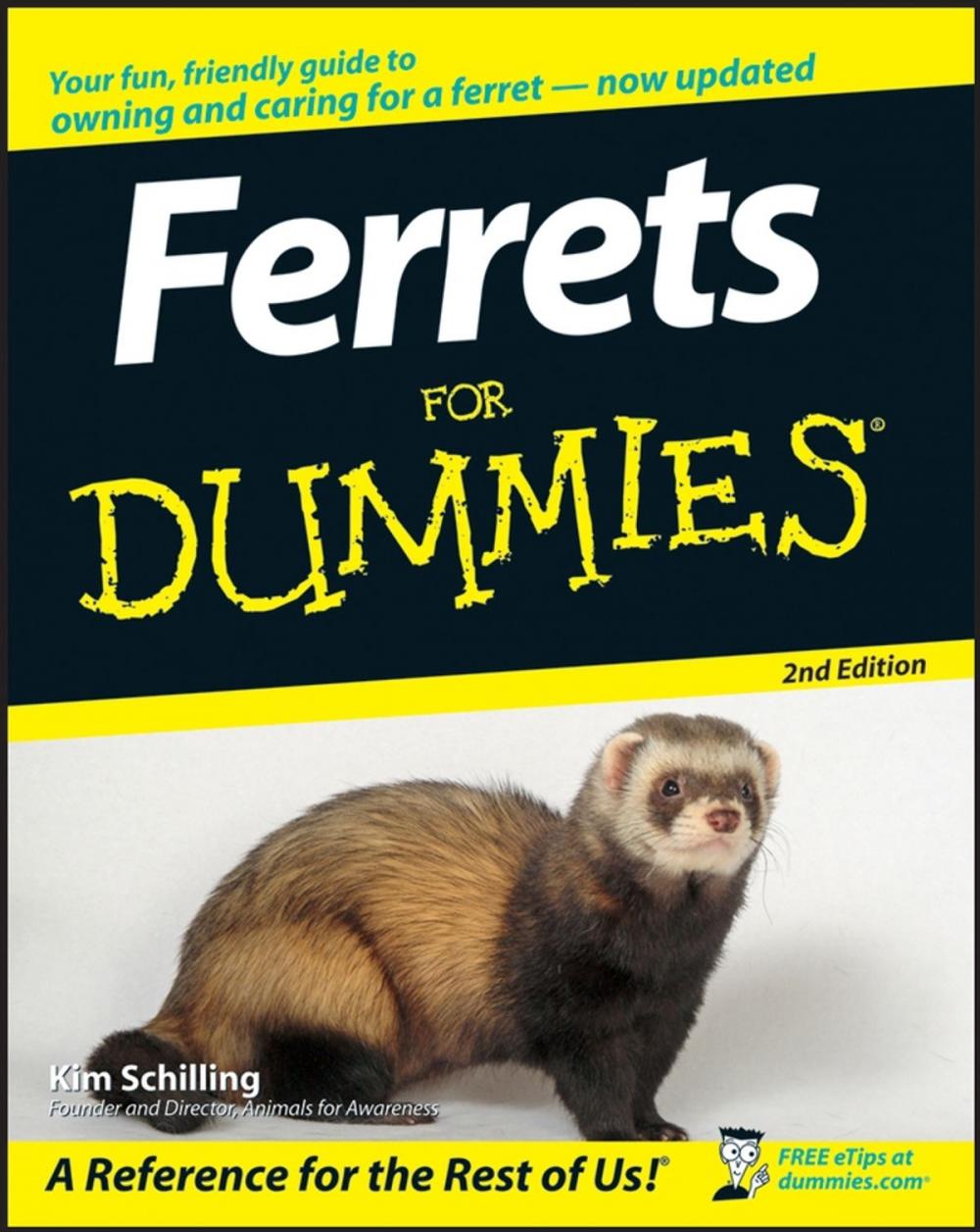 Big bigCover of Ferrets For Dummies