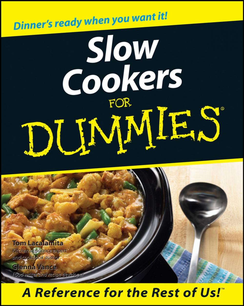 Big bigCover of Slow Cookers For Dummies