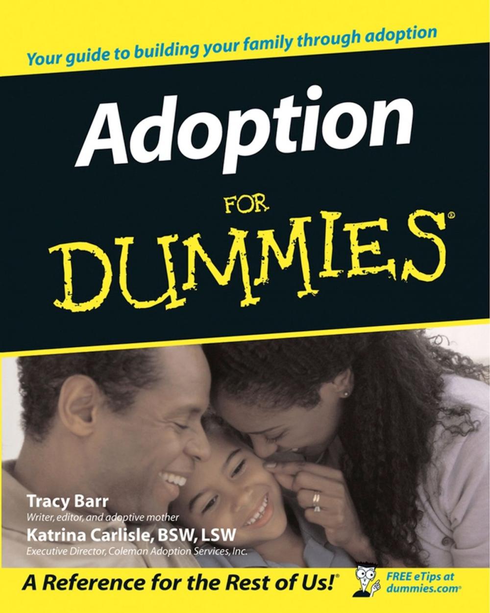 Big bigCover of Adoption For Dummies