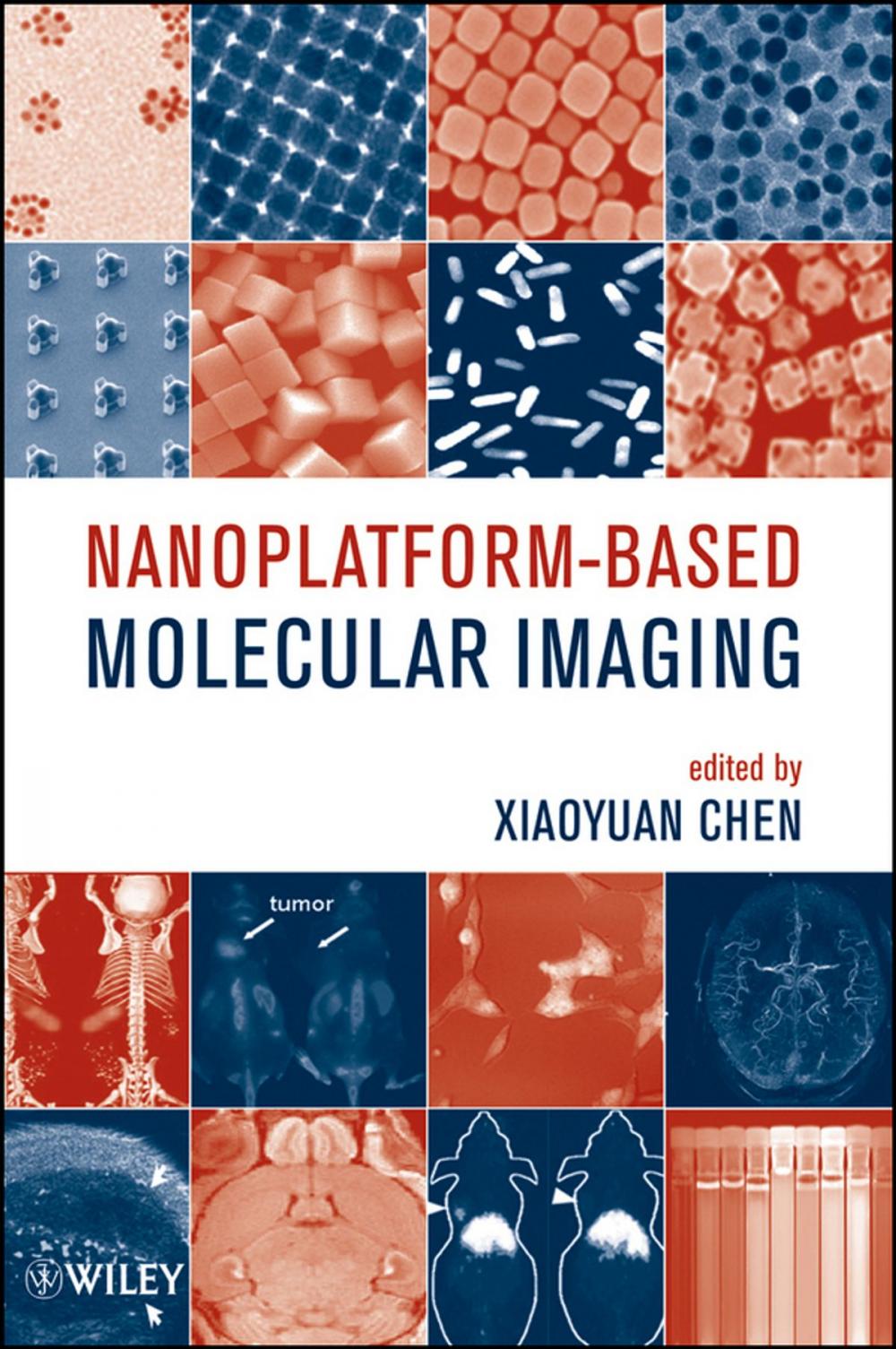 Big bigCover of Nanoplatform-Based Molecular Imaging