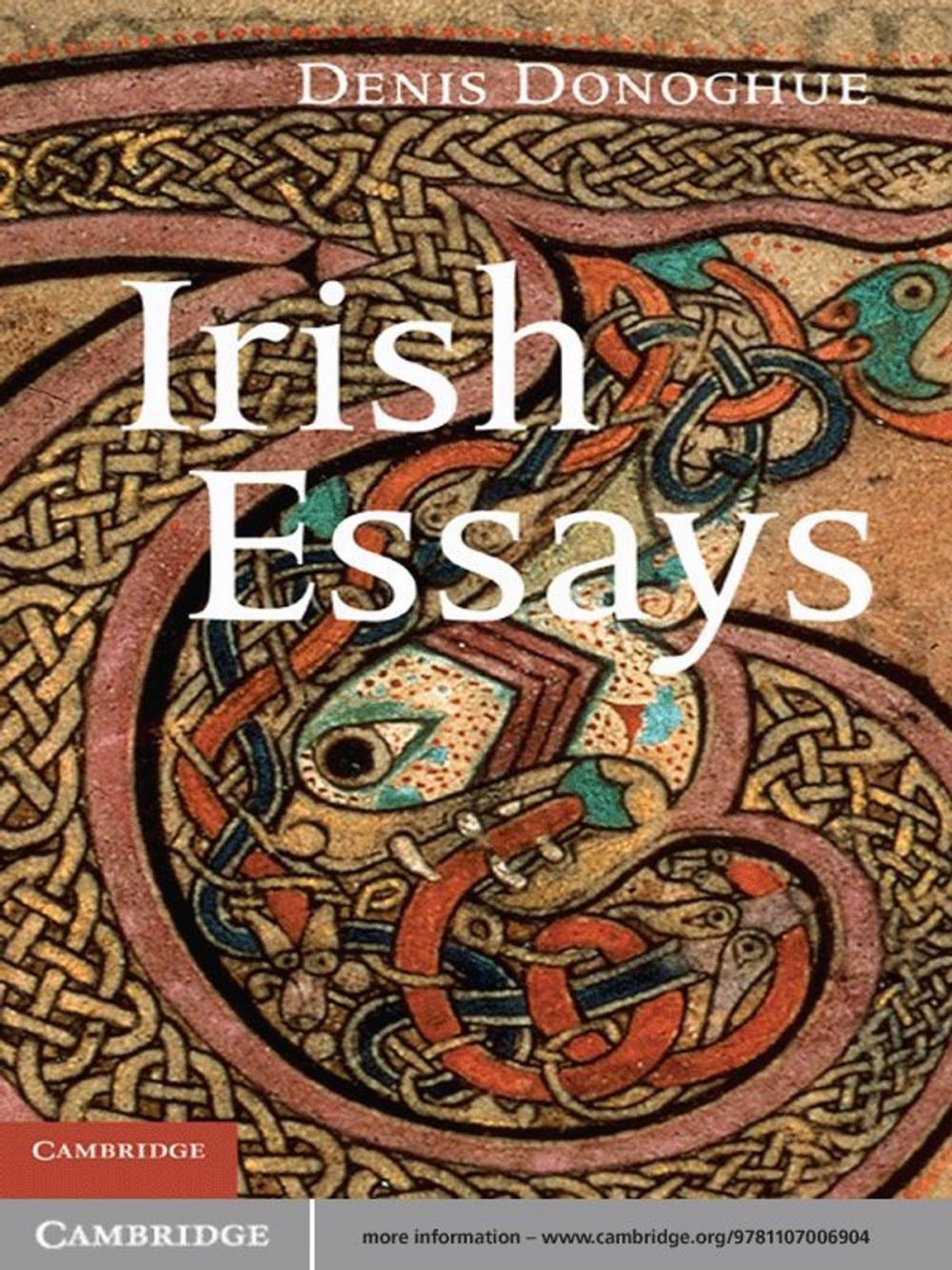 Big bigCover of Irish Essays