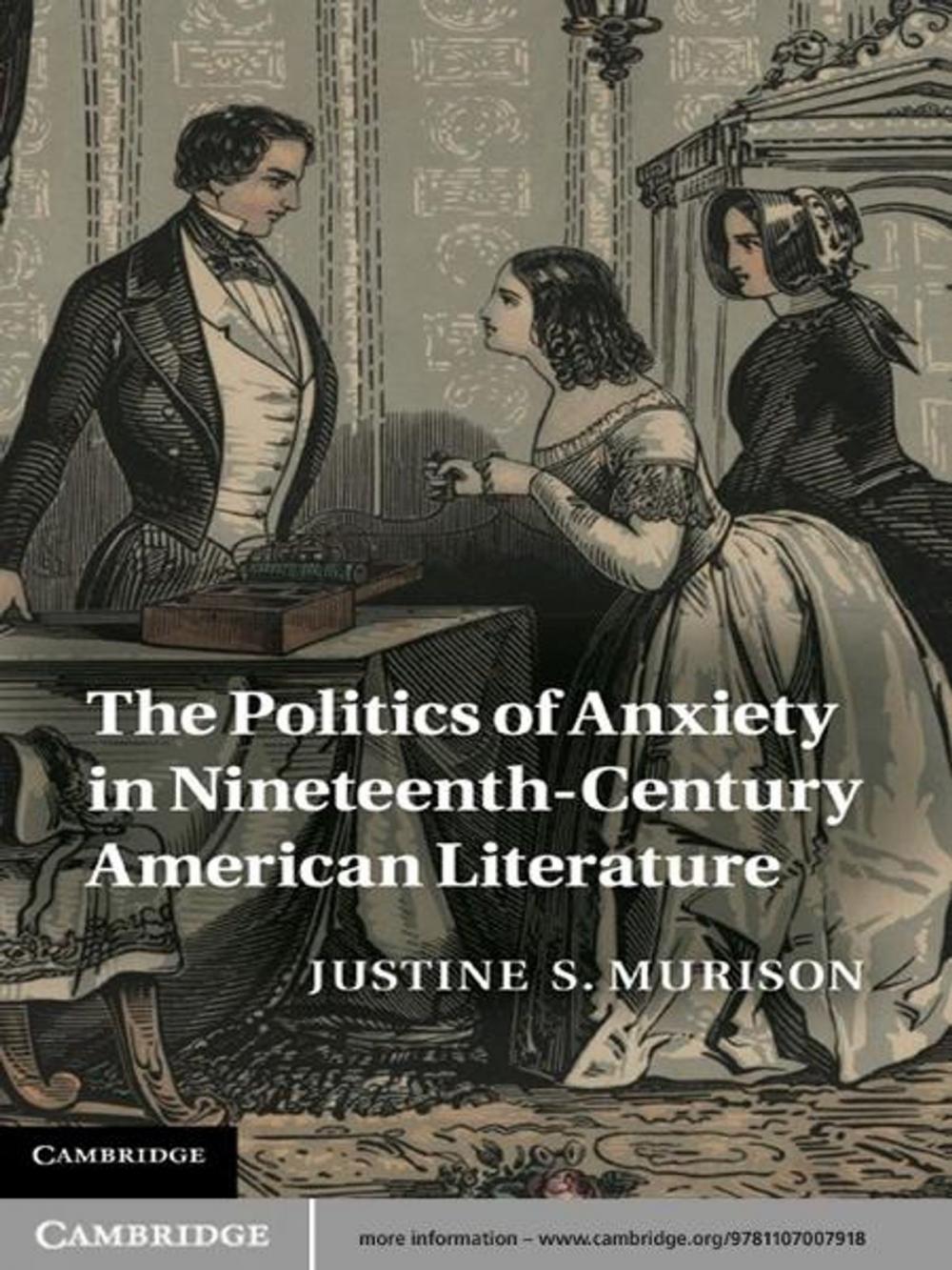 Big bigCover of The Politics of Anxiety in Nineteenth-Century American Literature