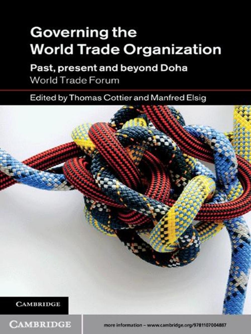 Big bigCover of Governing the World Trade Organization