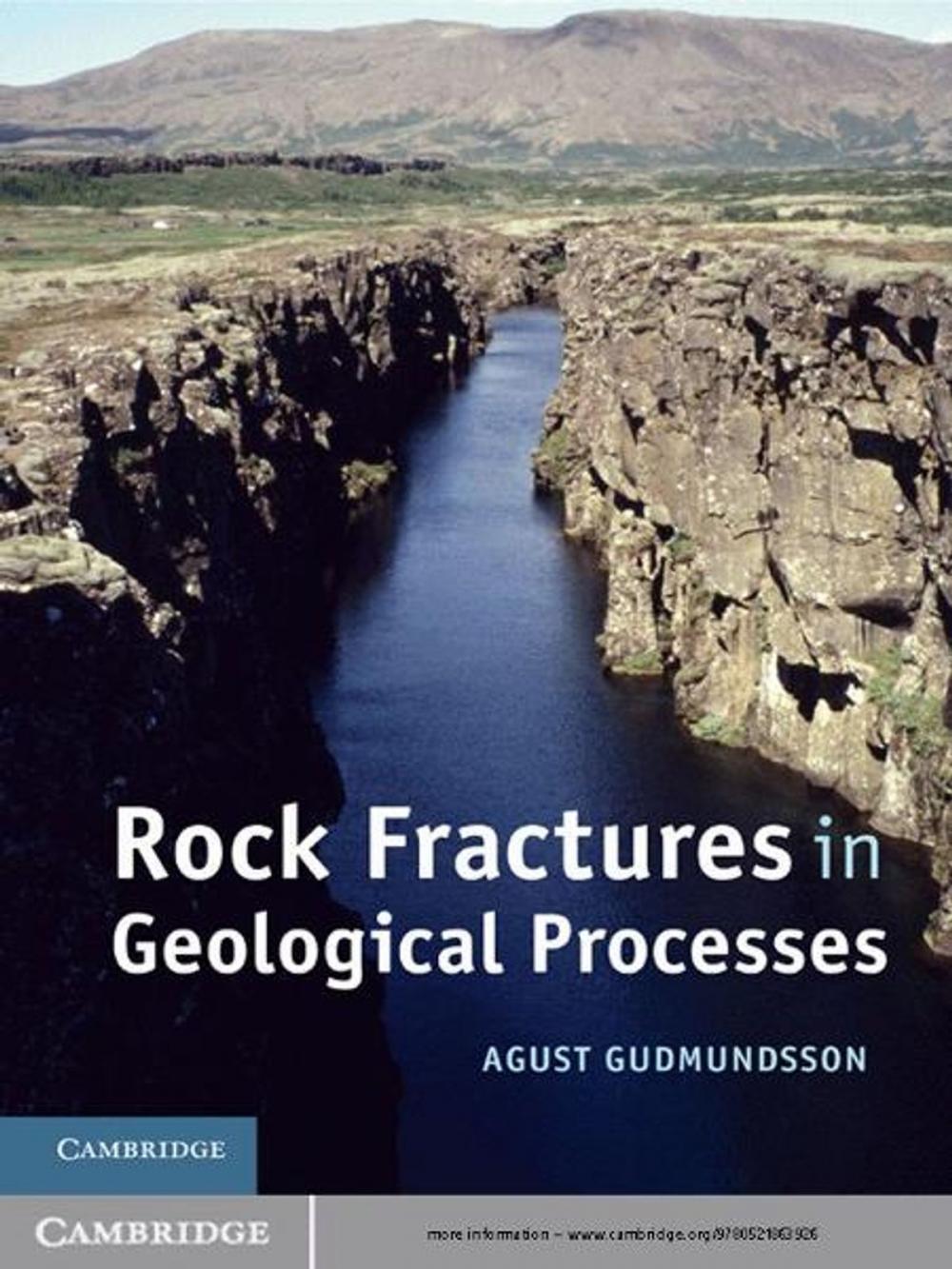 Big bigCover of Rock Fractures in Geological Processes