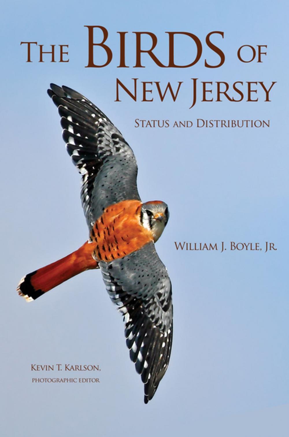 Big bigCover of The Birds of New Jersey