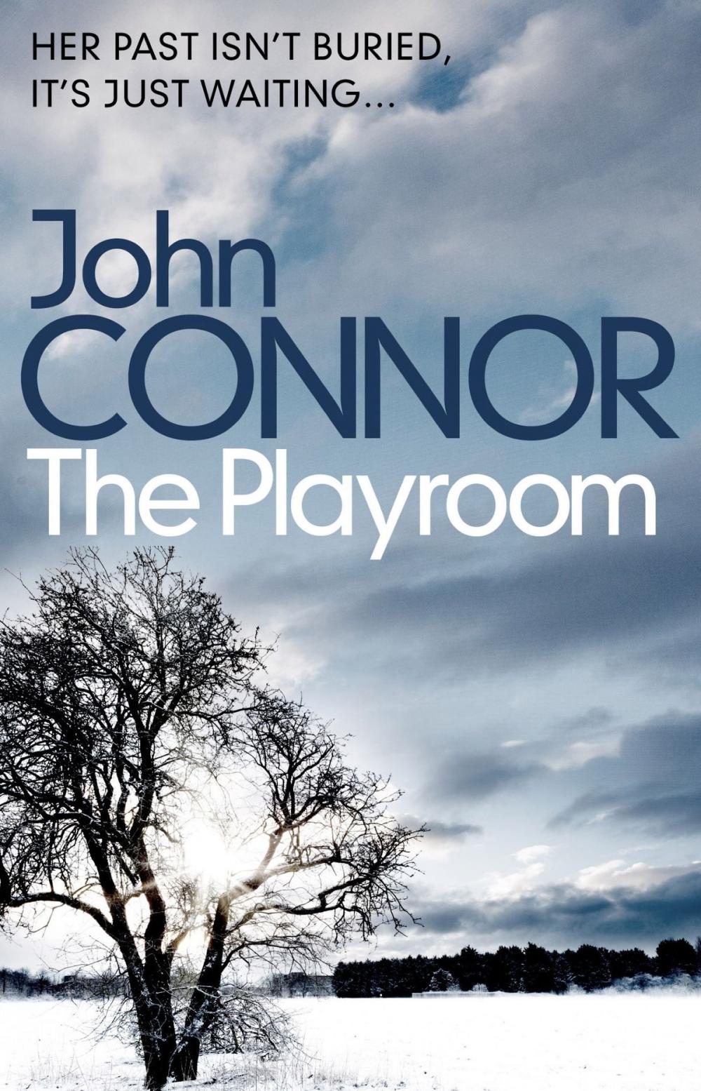 Big bigCover of The Playroom