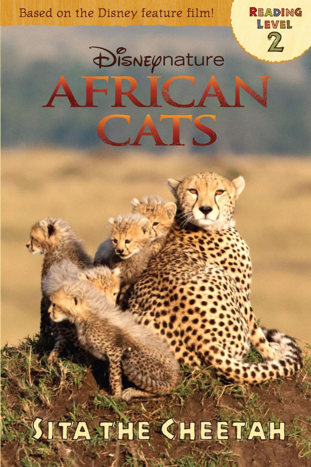 Big bigCover of African Cats: Sita the Cheetah