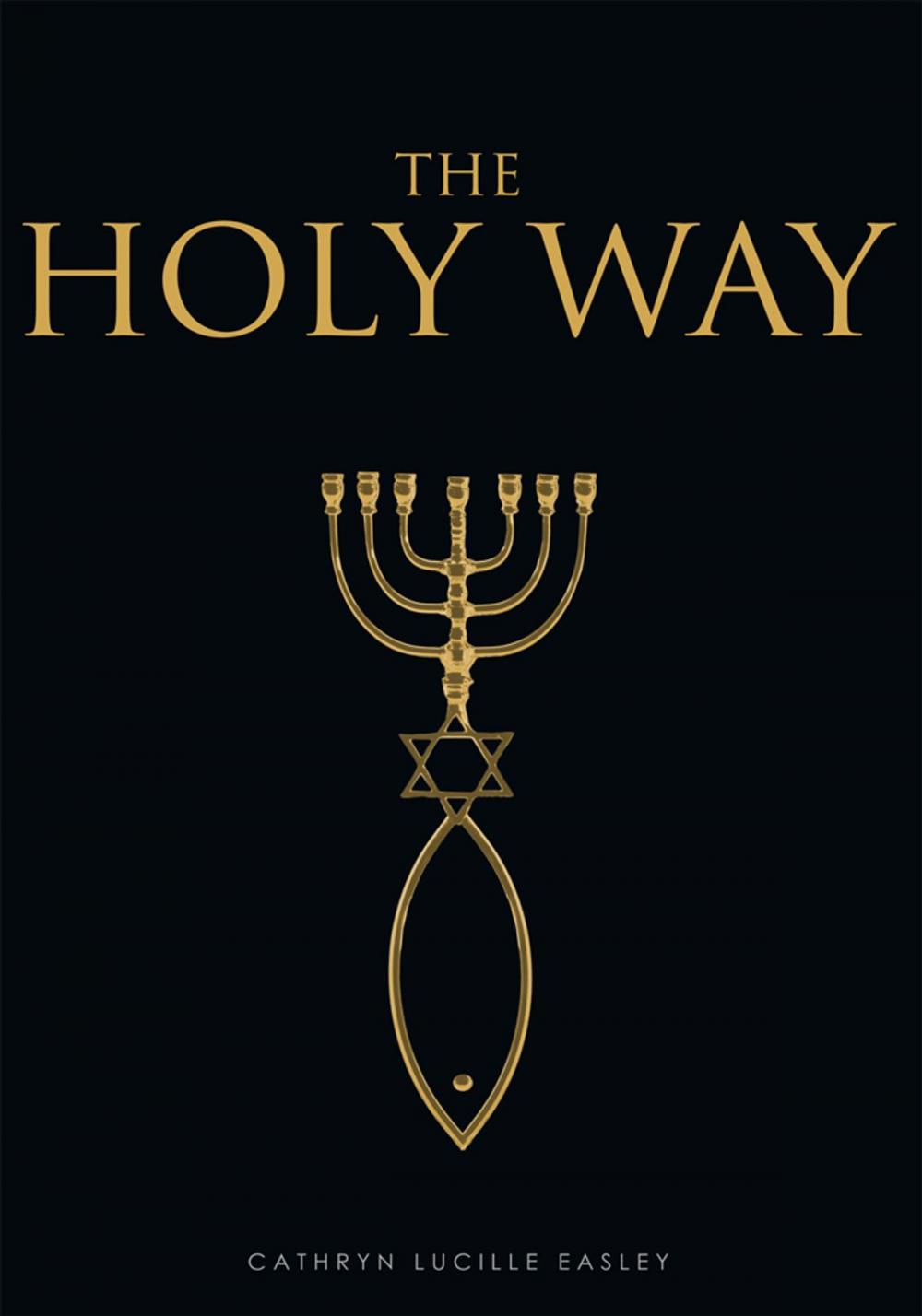 Big bigCover of The Holy Way