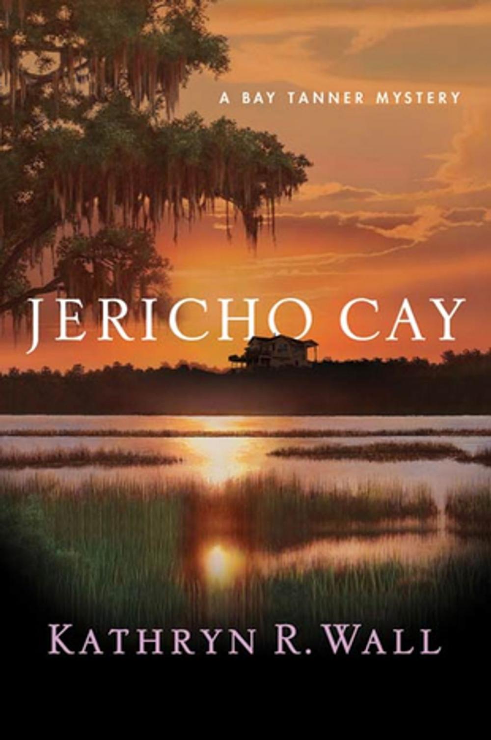 Big bigCover of Jericho Cay