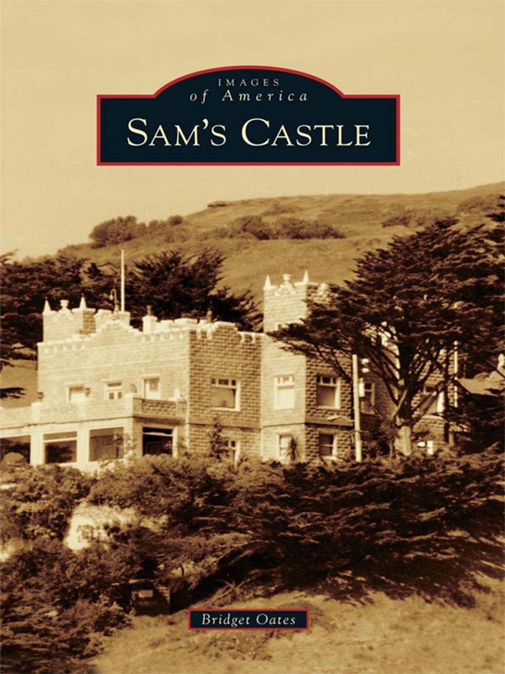 Big bigCover of Sam's Castle