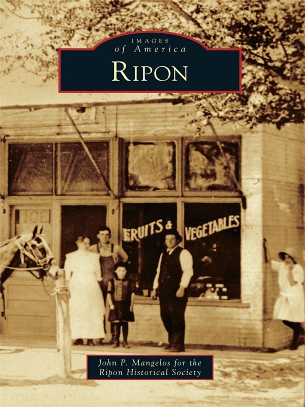 Big bigCover of Ripon