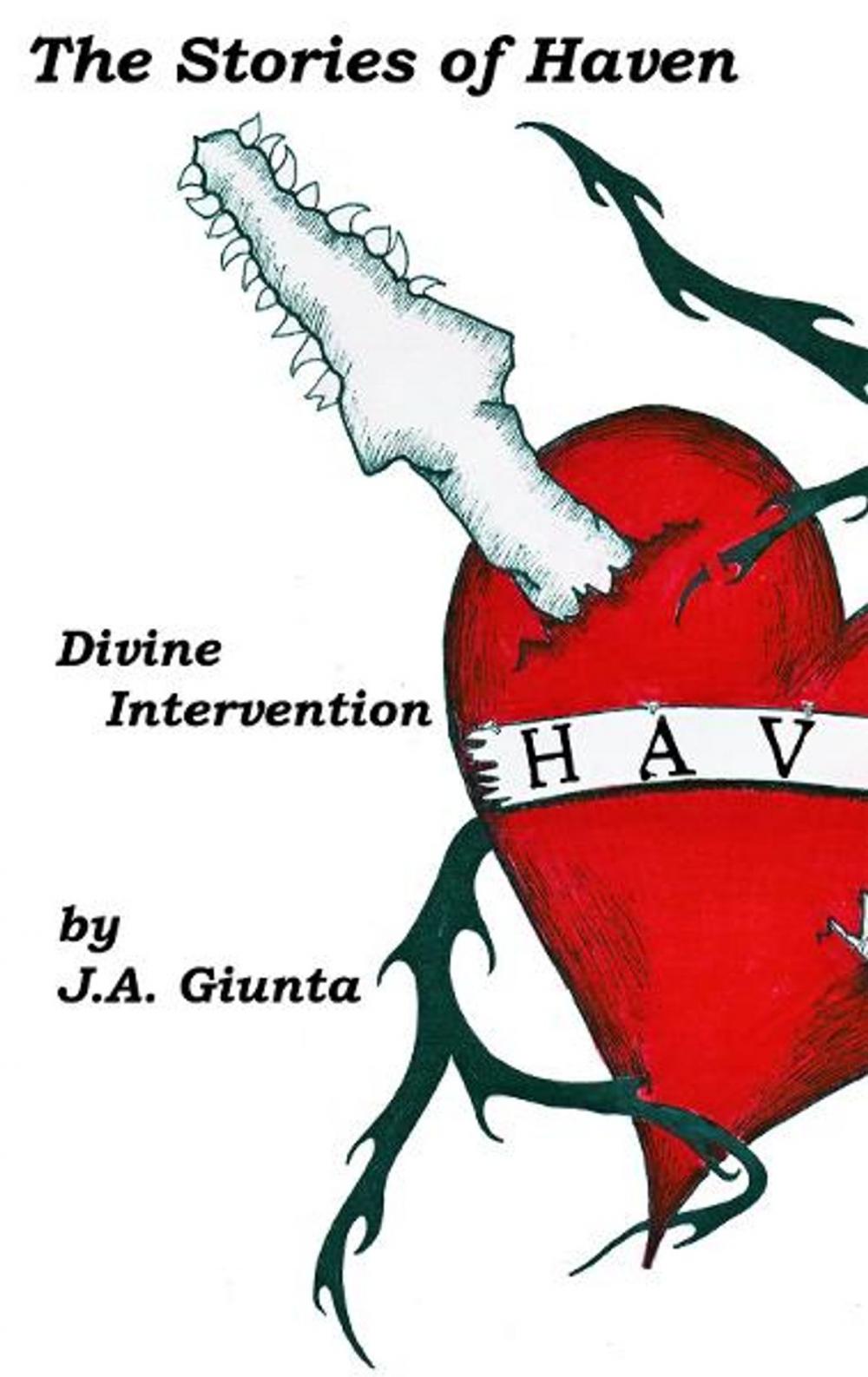 Big bigCover of The Stories of Haven: Divine Intervention