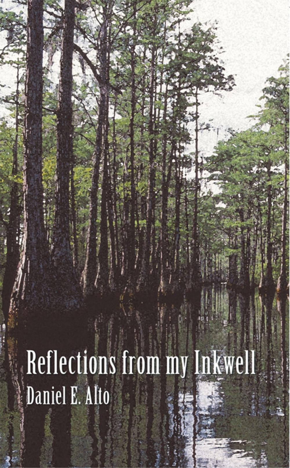 Big bigCover of Reflections from My Inkwell