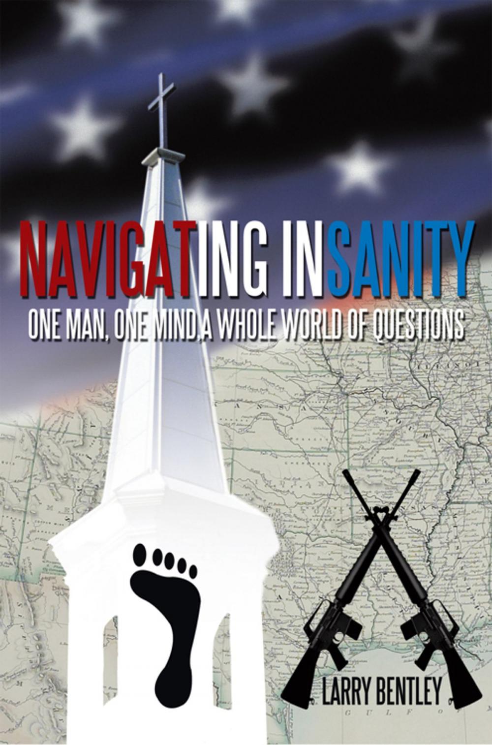 Big bigCover of Navigating Insanity