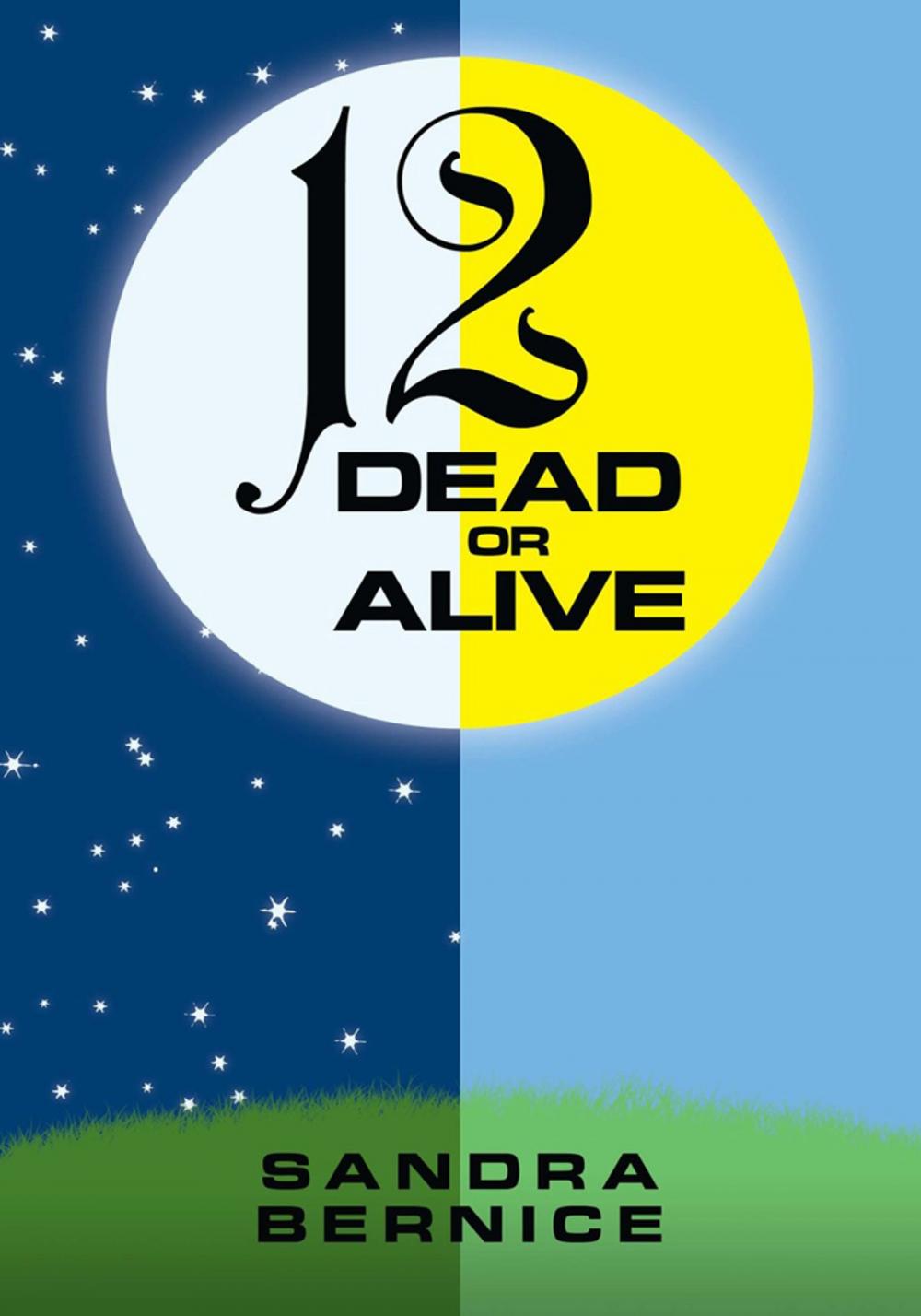 Big bigCover of 12 Dead or Alive