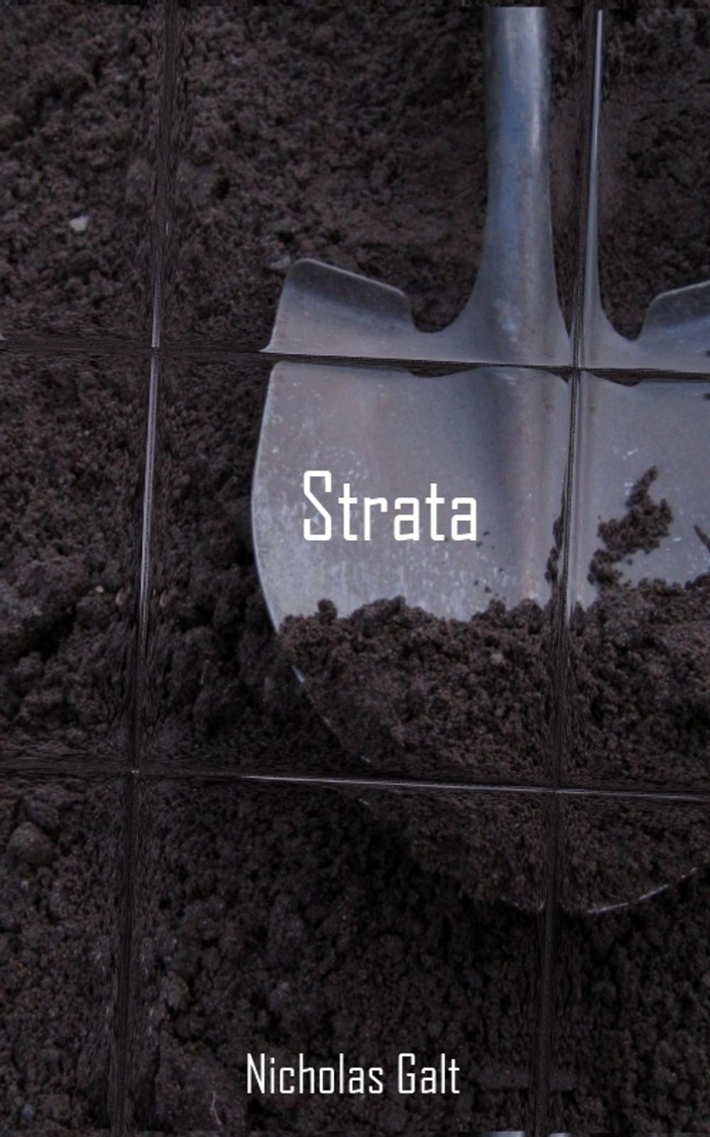 Big bigCover of Strata