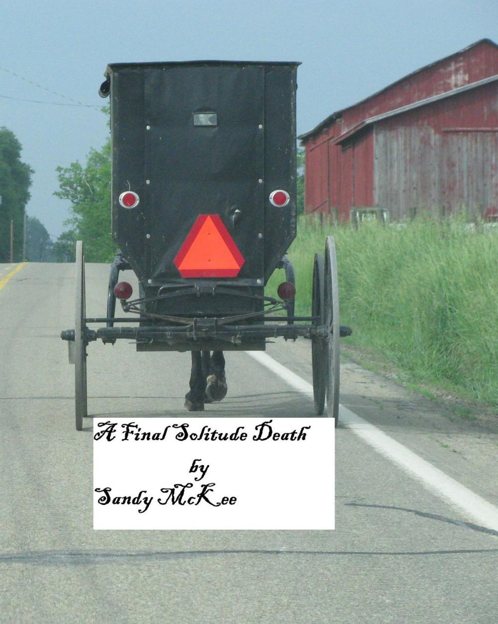 Big bigCover of A Final Solitude Death: An Amish Country Murder Mystery