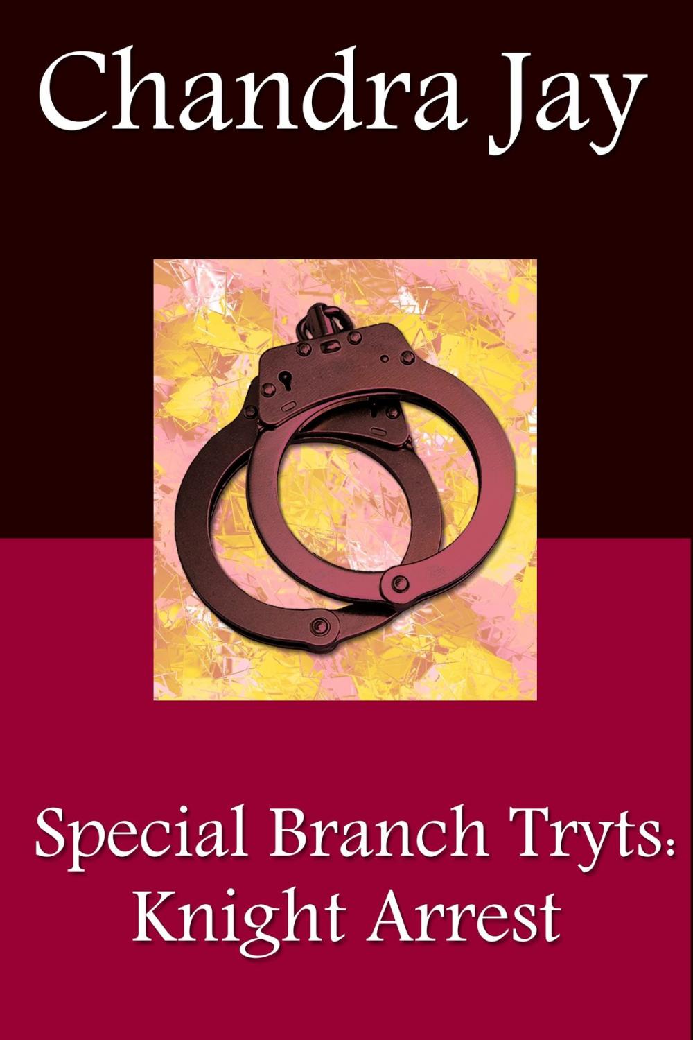 Big bigCover of Special Branch Trysts: Knight Arrest