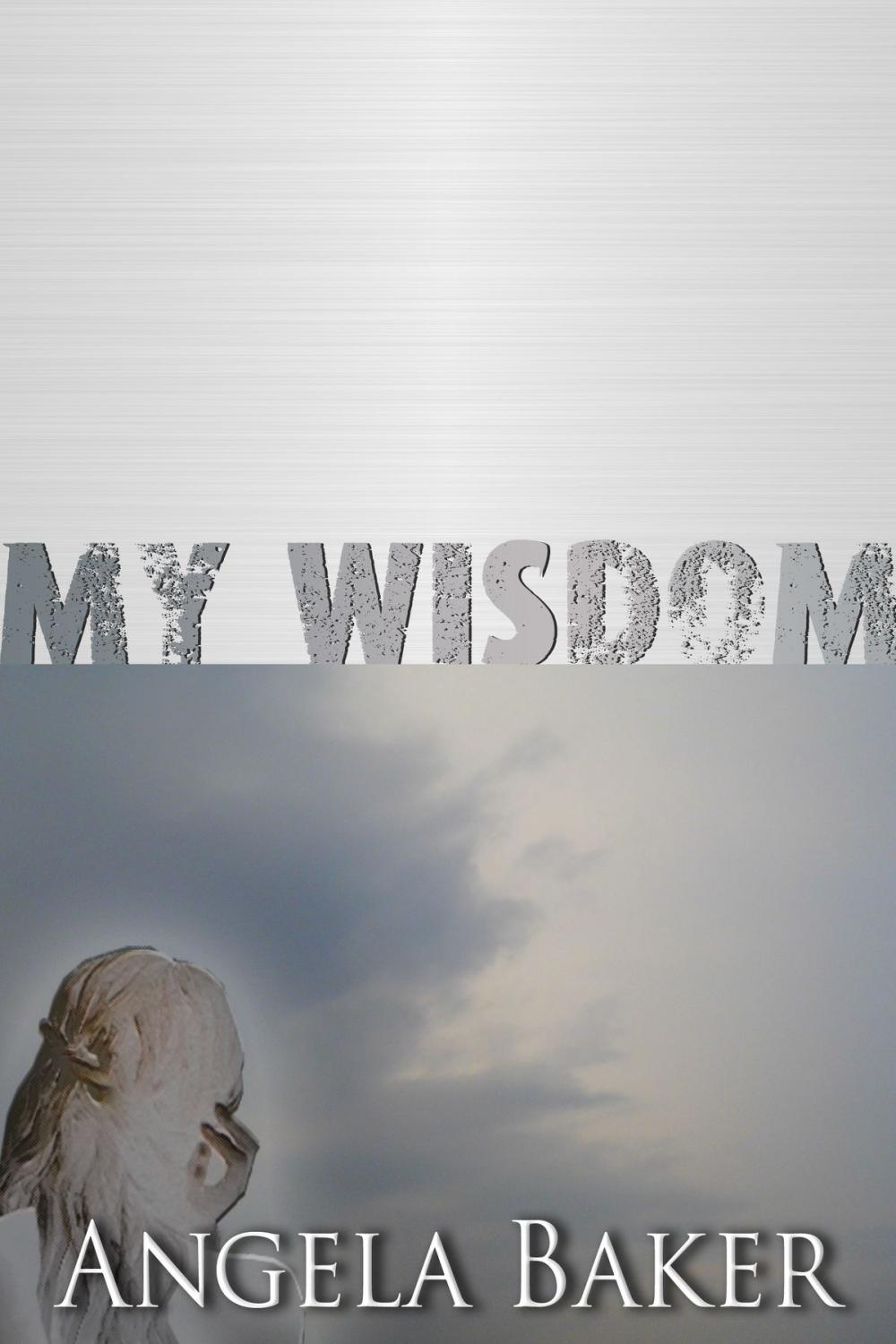 Big bigCover of Messages from the Borderlands: My Wisdom