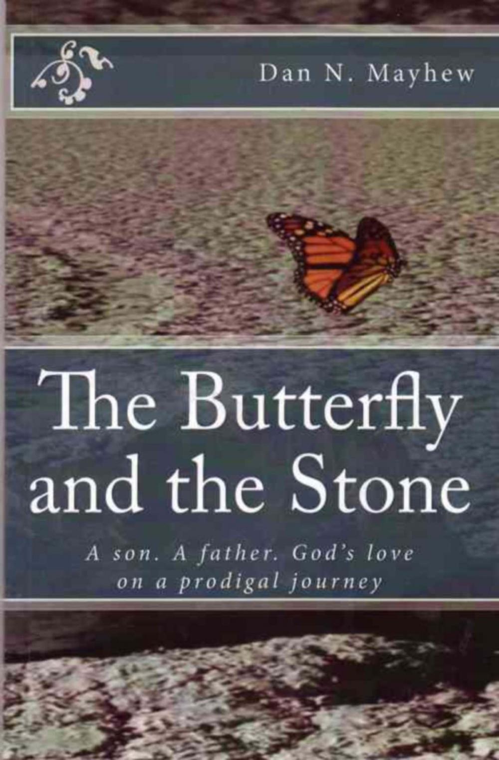 Big bigCover of The Butterfly and the Stone