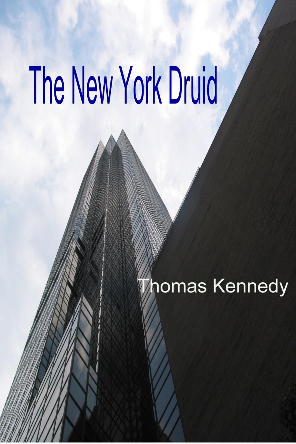 Big bigCover of The New York Druid