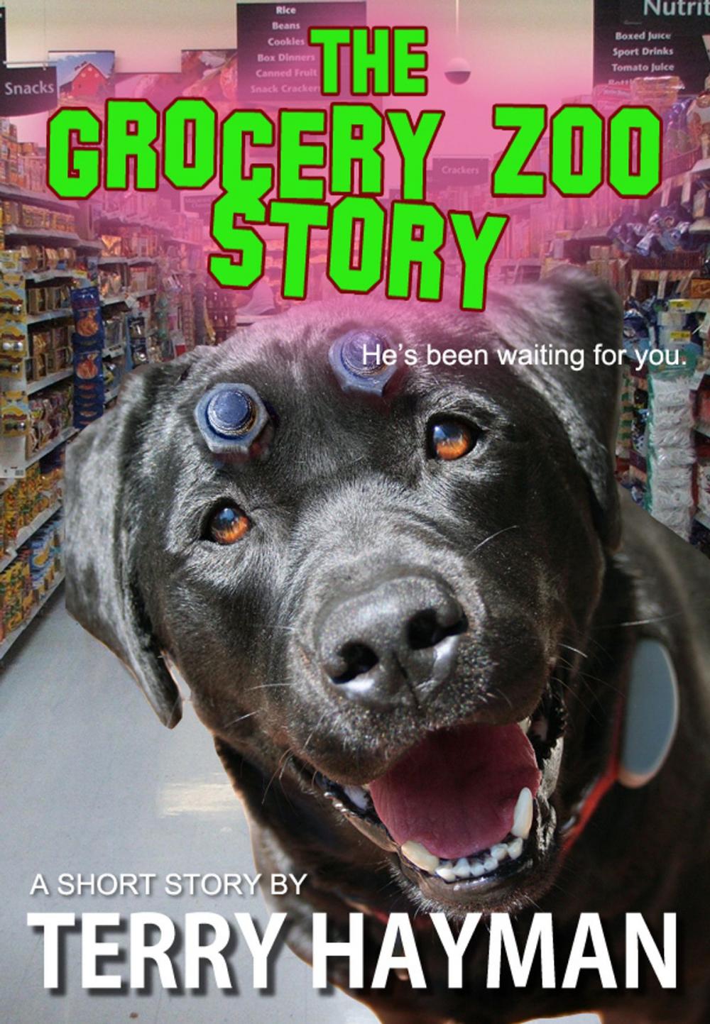 Big bigCover of The Grocery Zoo Story