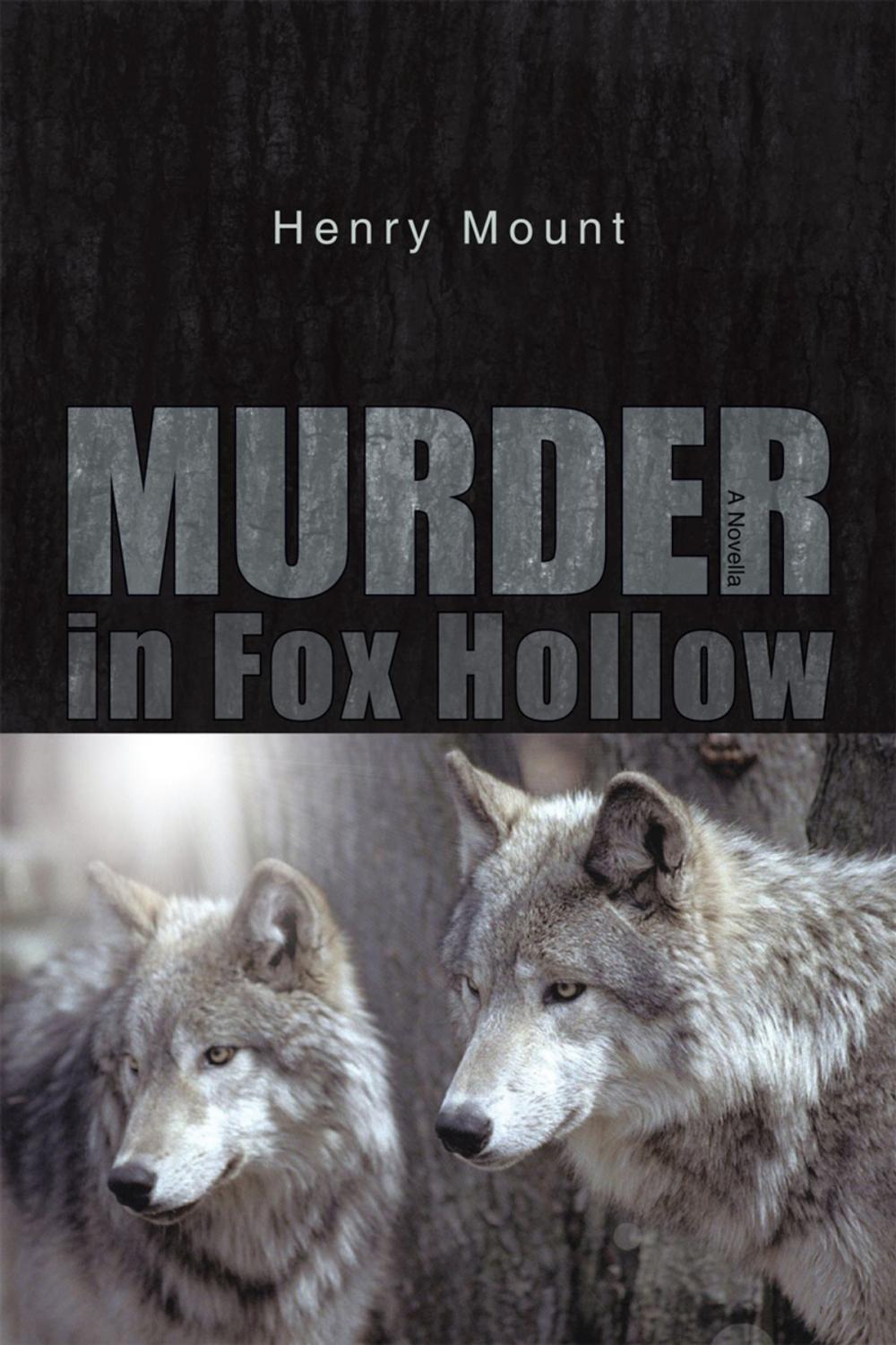 Big bigCover of Murder in Fox Hollow