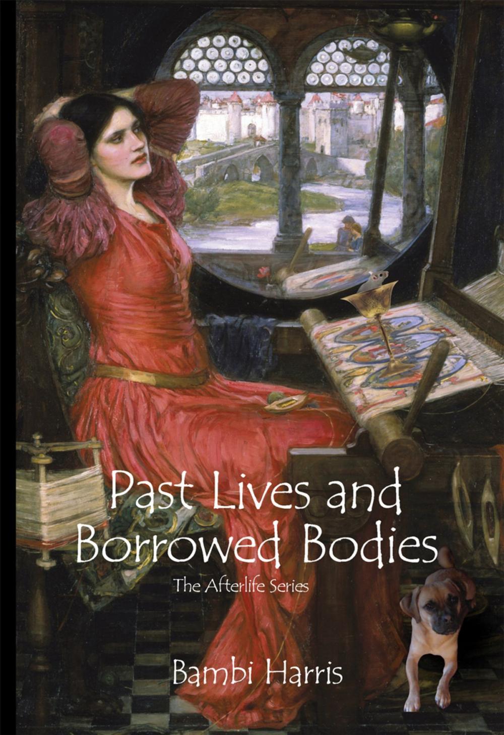 Big bigCover of Past Lives and Borrowed Bodies