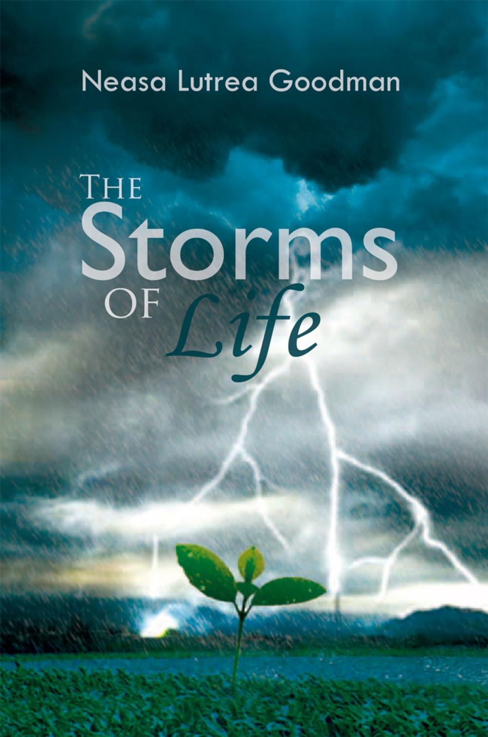 Big bigCover of The Storms of Life