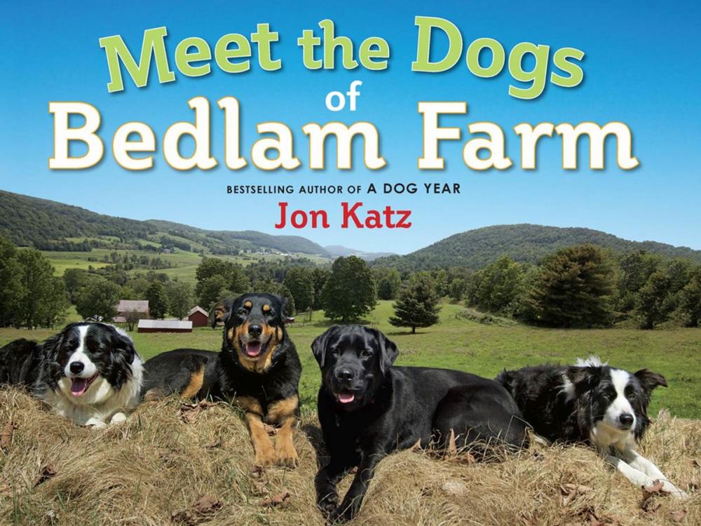 Big bigCover of Meet the Dogs of Bedlam Farm