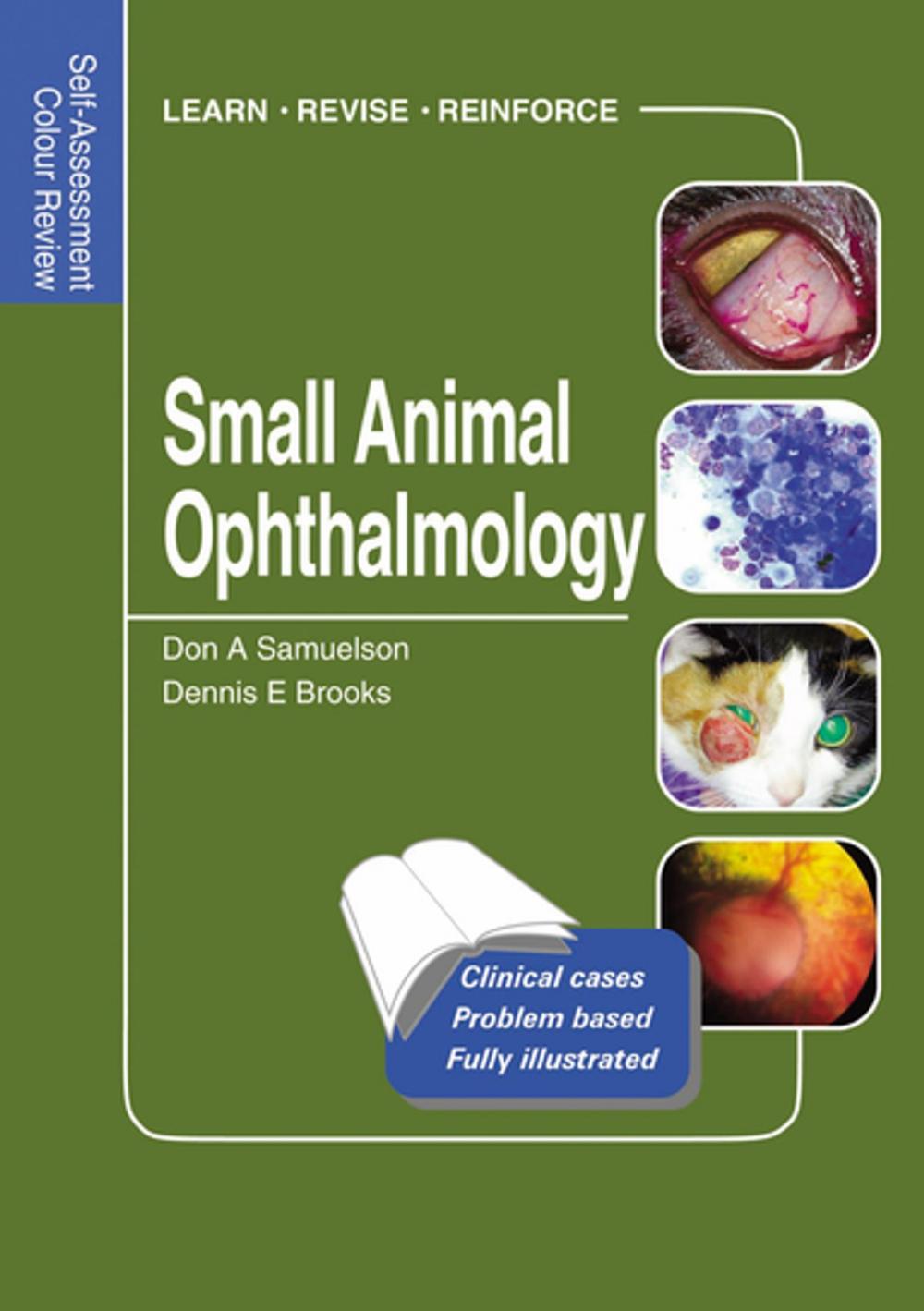 Big bigCover of Small Animal Ophthalmology