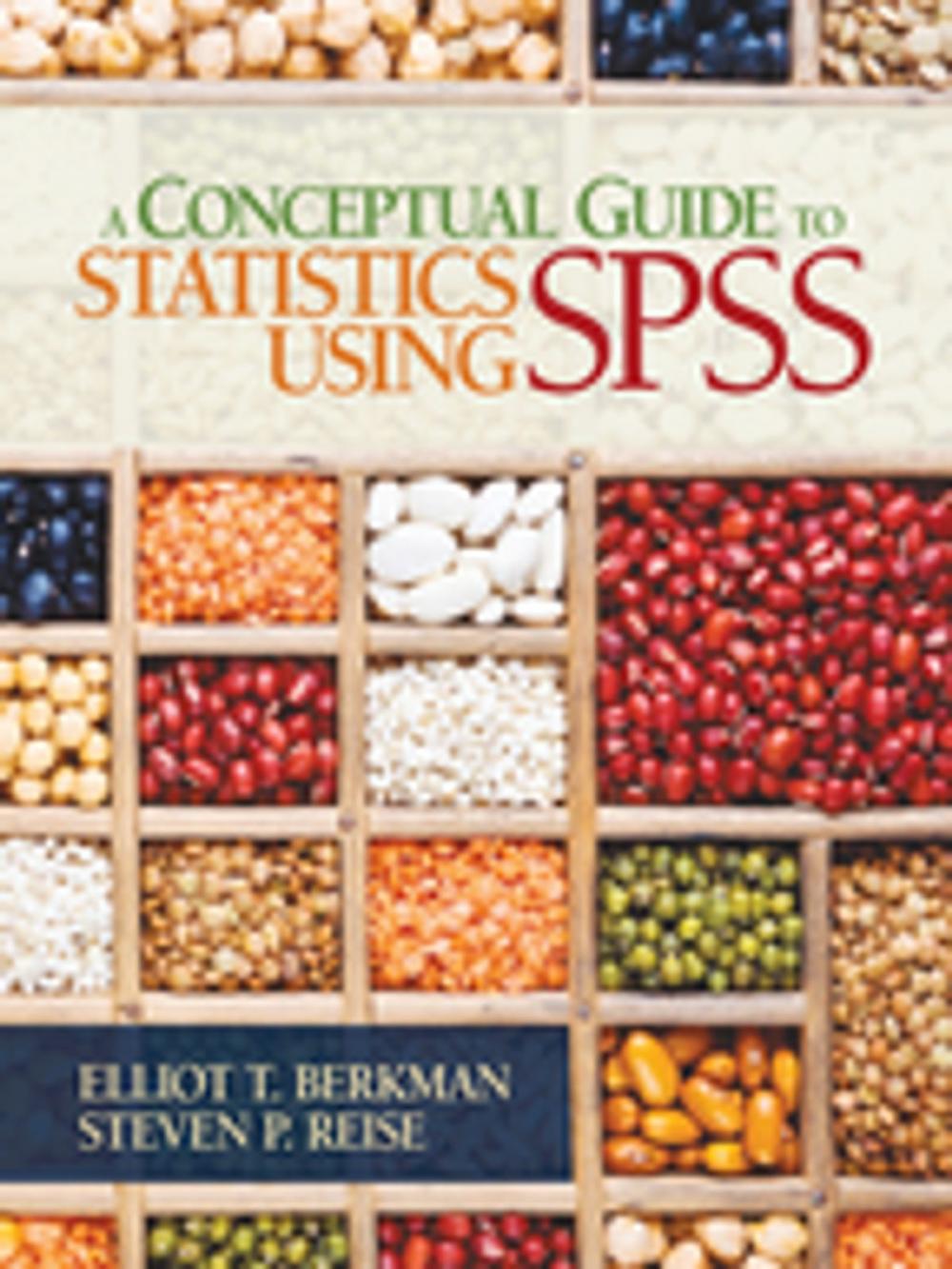 Big bigCover of A Conceptual Guide to Statistics Using SPSS