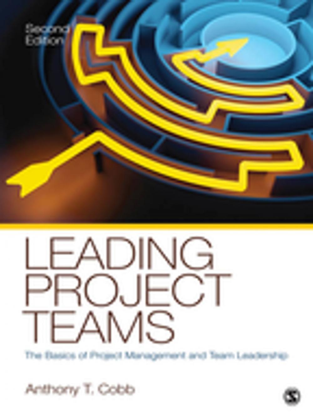 Big bigCover of Leading Project Teams