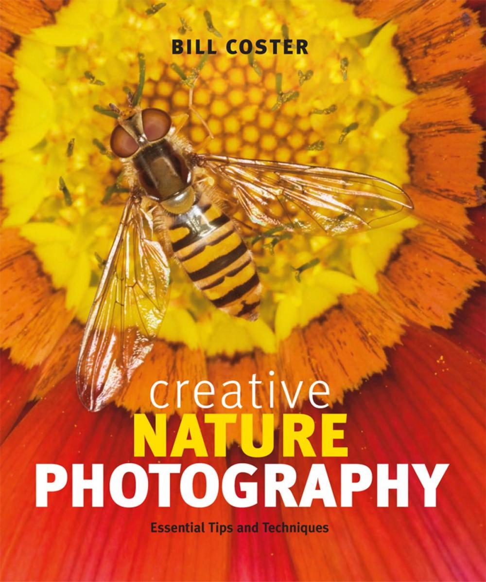 Big bigCover of Creative Nature Photography