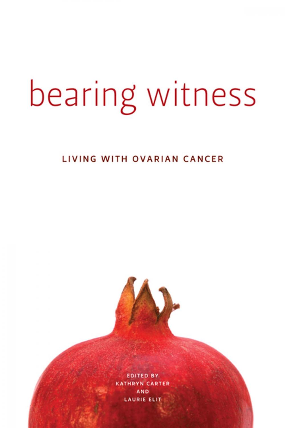 Big bigCover of Bearing Witness