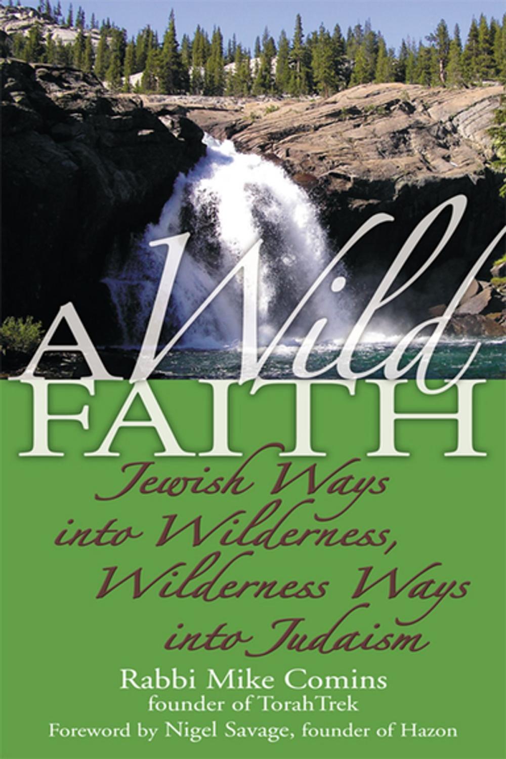 Big bigCover of A Wild Faith