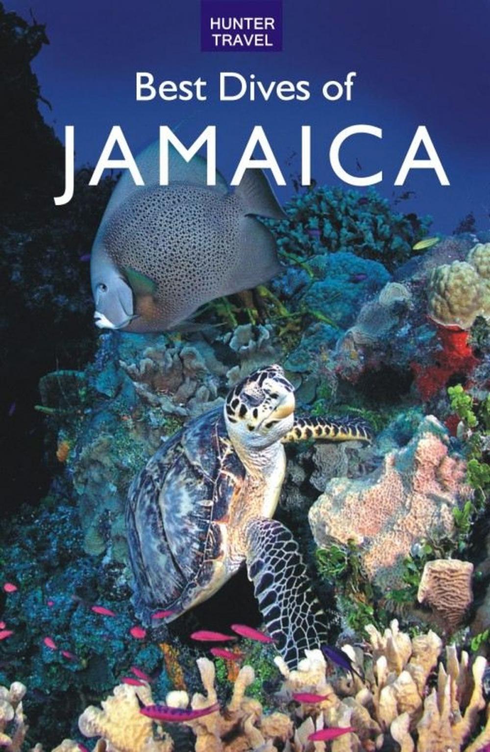 Big bigCover of Best Dives of Jamaica