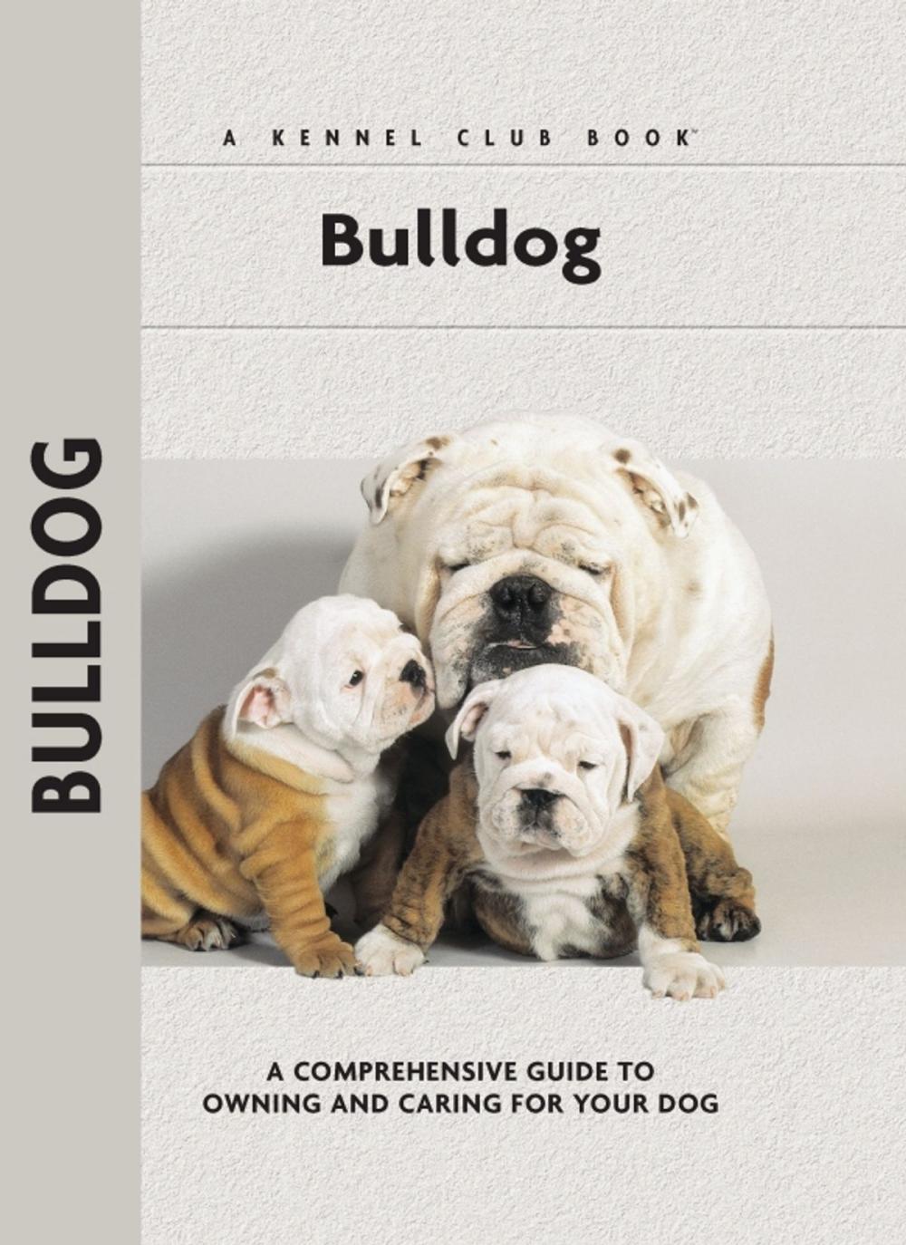 Big bigCover of Bulldog