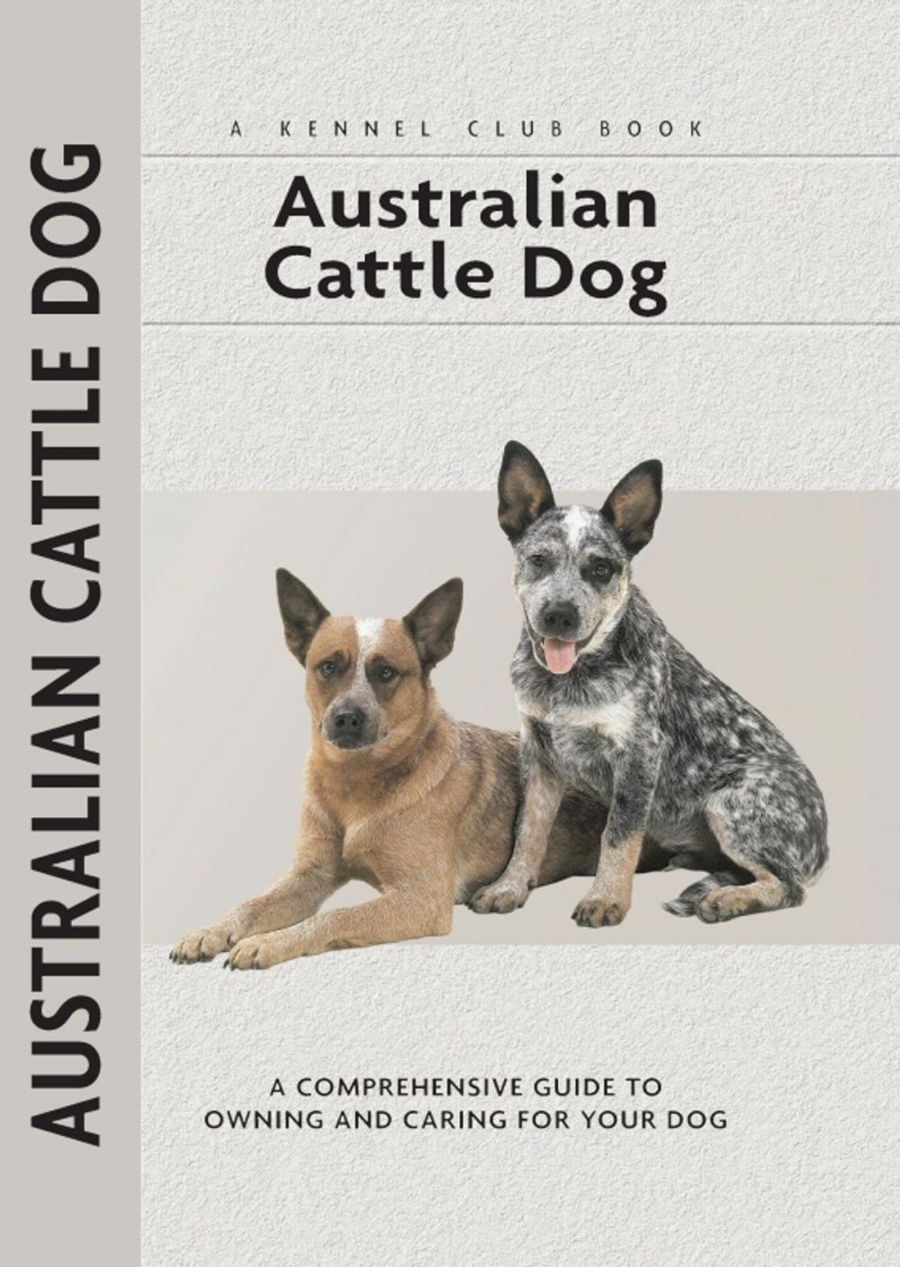 Big bigCover of Australian Cattle Dog