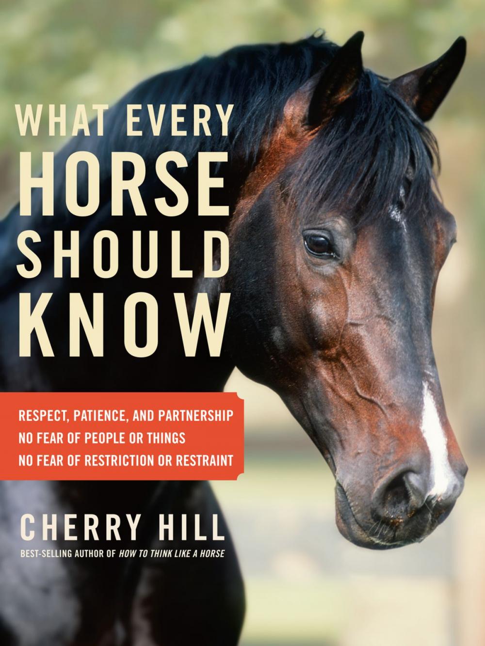 Big bigCover of What Every Horse Should Know